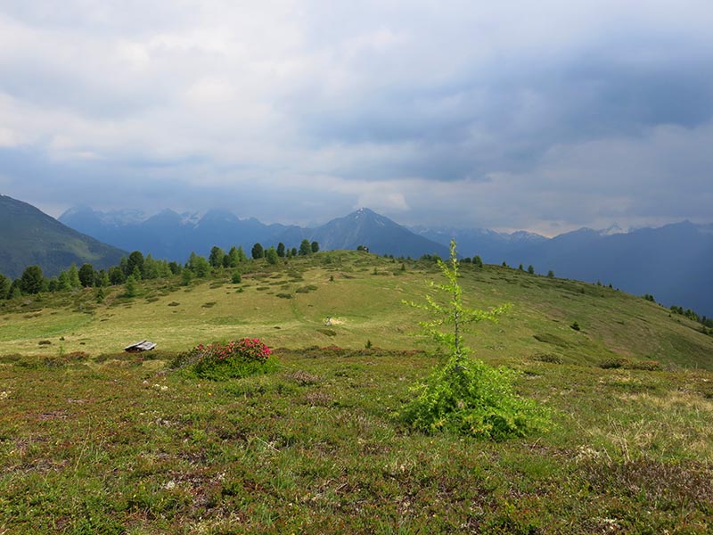 Firstkogel